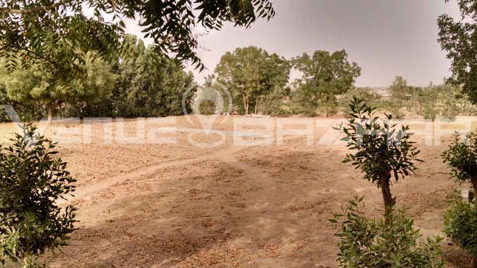 Farmhouse in Karachi